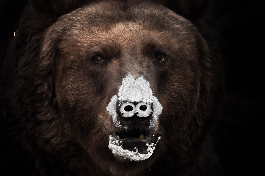Cocaine [Brent and WTI] Bear