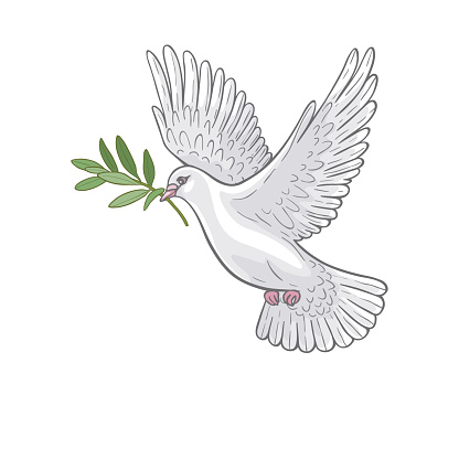 Hand drawn white  flying dove with olive branch.